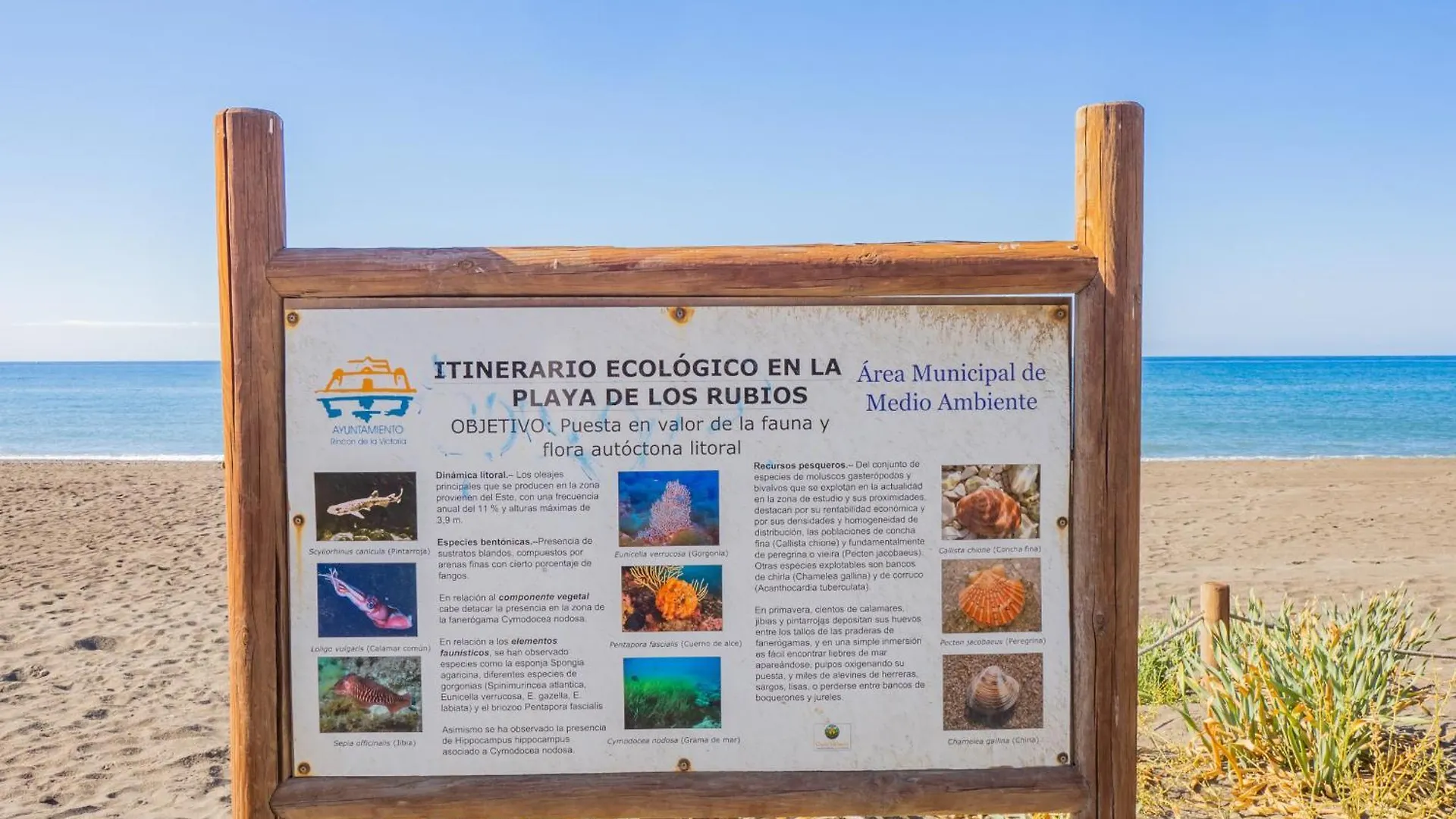 Cubo'S Hostal William'S Sunny 3 Torre de Benagalbon Spain